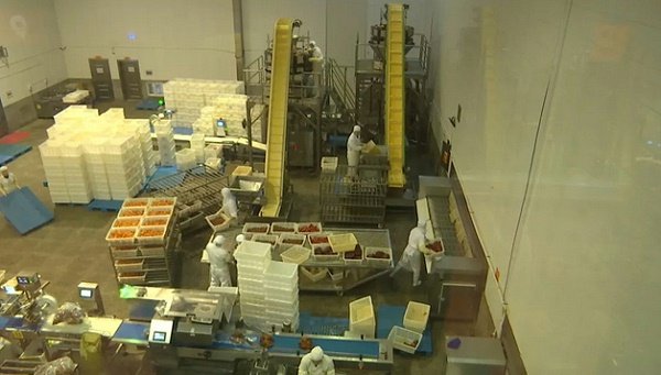 咱们今天把所有的任务分解到各个成员去