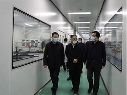 网站首页