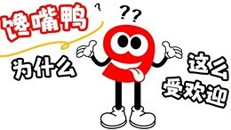 网站首页