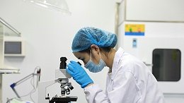 本站按公开材料组织页面