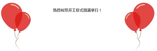 项目规划及建筑单体初步设计图