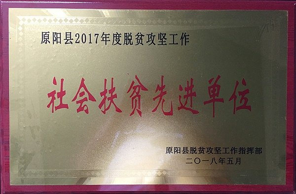 网站首页