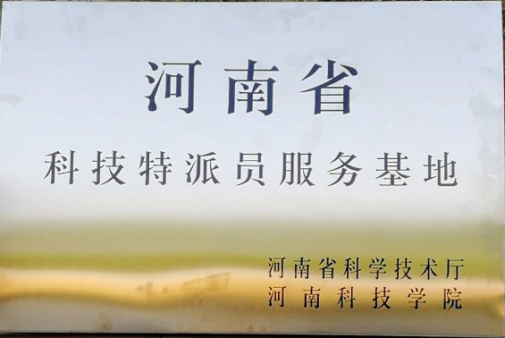 网站首页