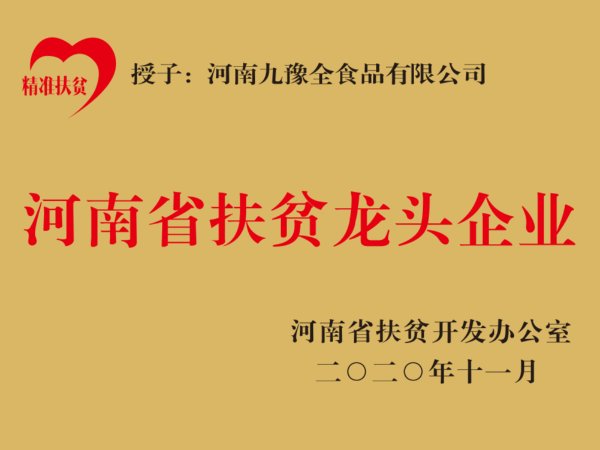 网站首页