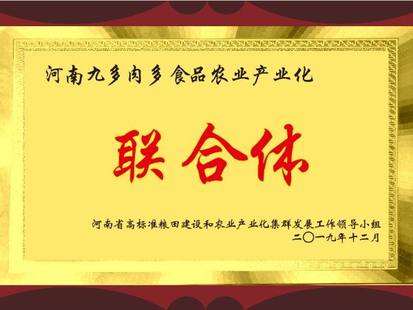 网站首页