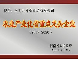 网站首页