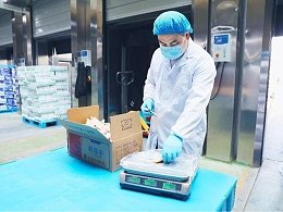 网站首页