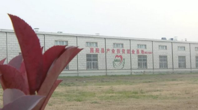 同题参见
