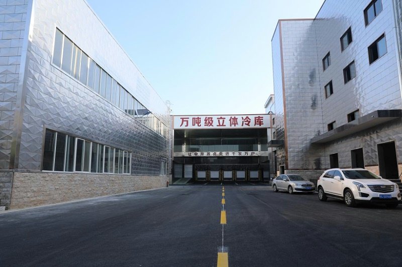 寒褪冬终